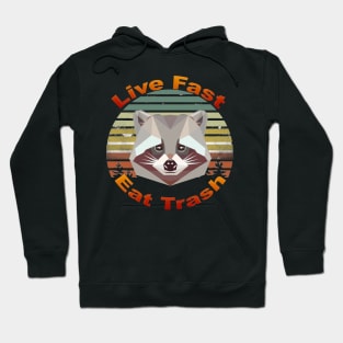 Live Fast Eat Trash Funny Raccoon Camping T-Shirt Hoodie